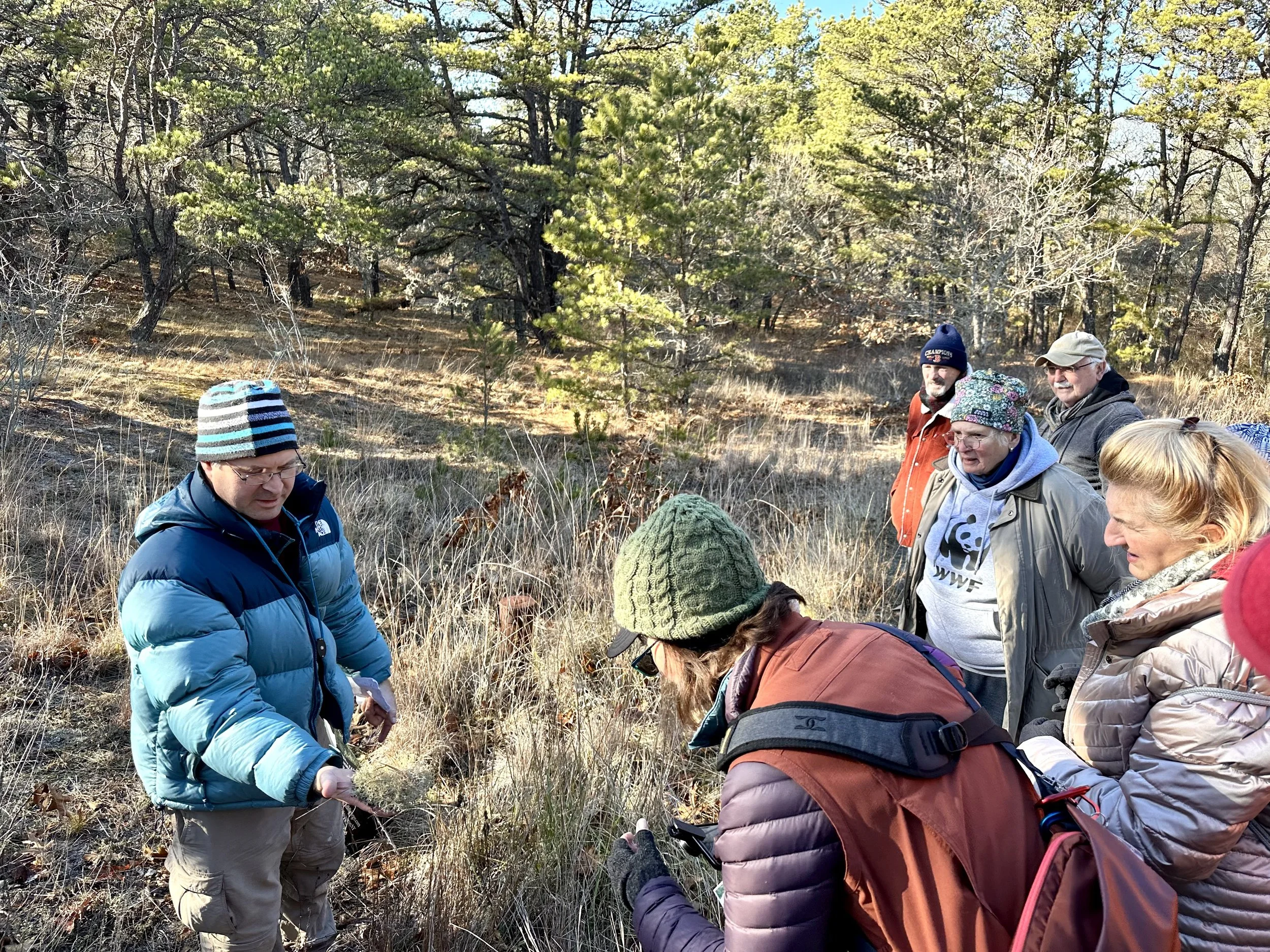 Nature Walk - Holiday Lichen Walk