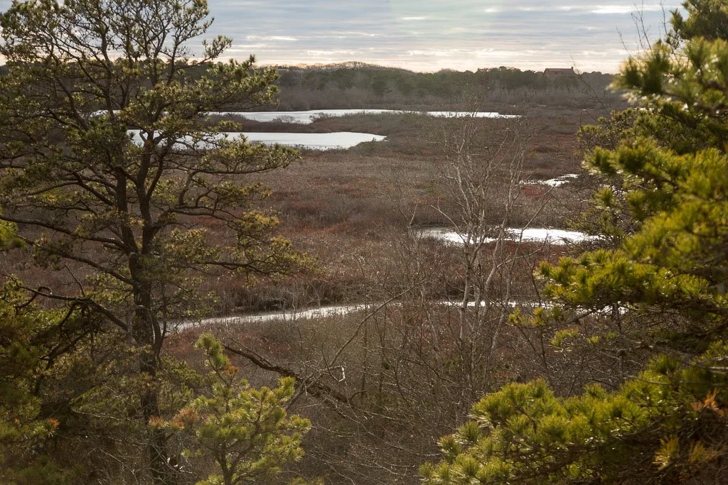 Squeezed by Development and Tourism