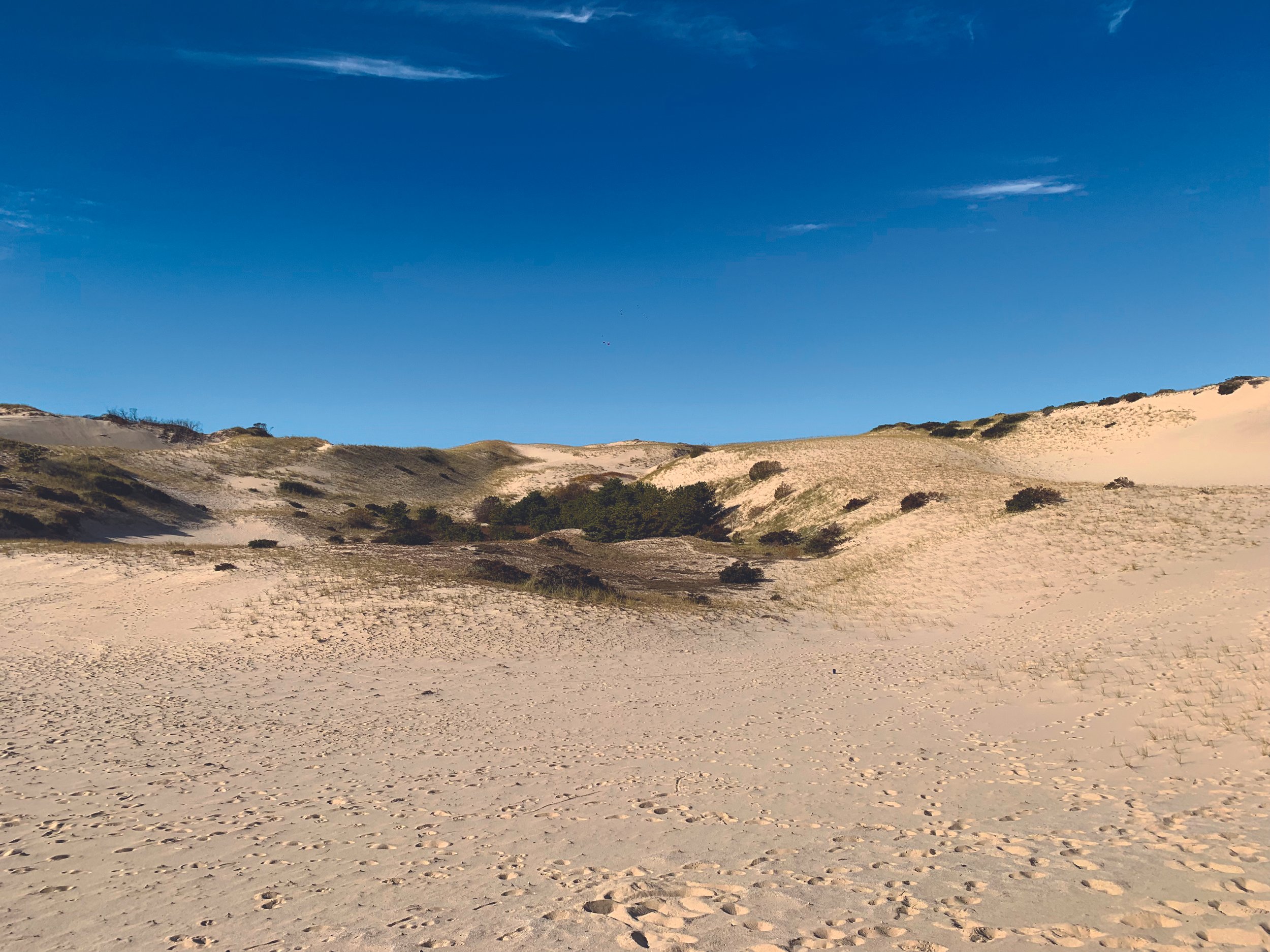 WELLTOWN COMMUNITY HIKE: Shifting Sands - Art &amp; Nature in the Provincetown Dunes