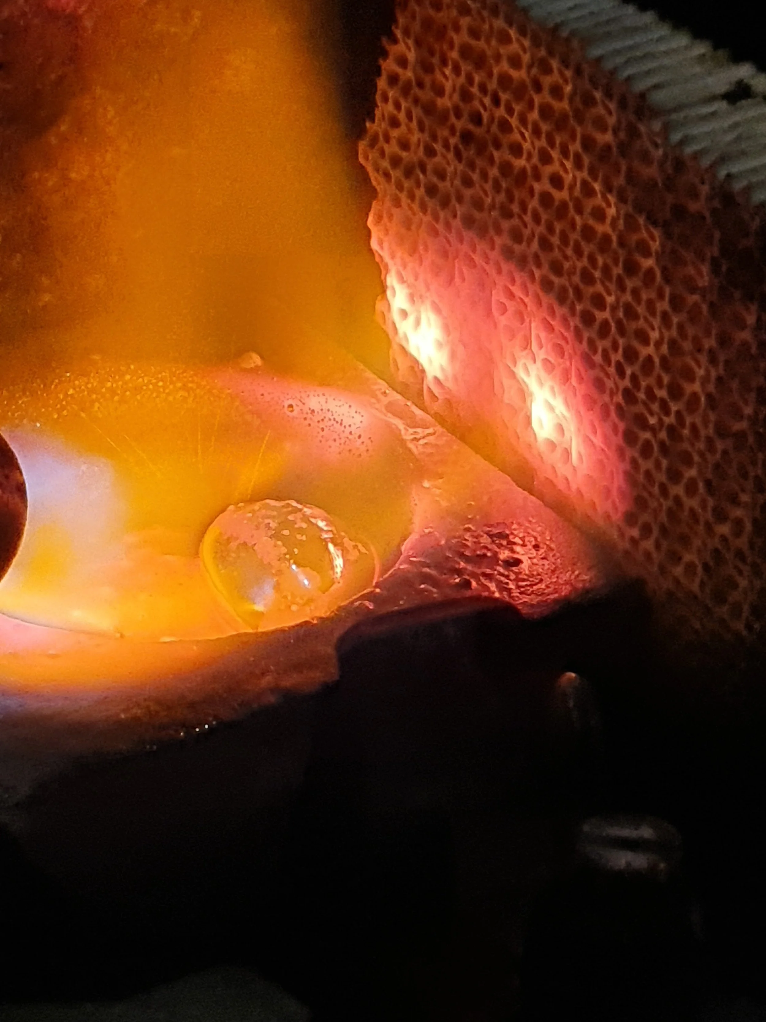 20201213_230927.jpg