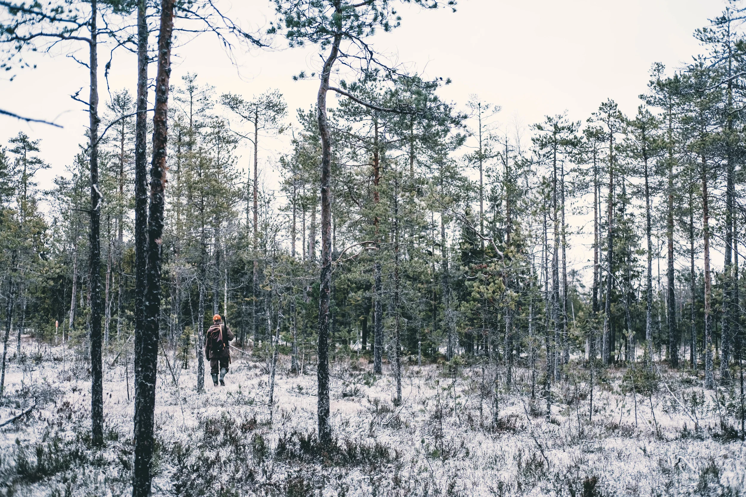 FOTO: Mattias Färnstrand, KUXAGRUPPEN AB