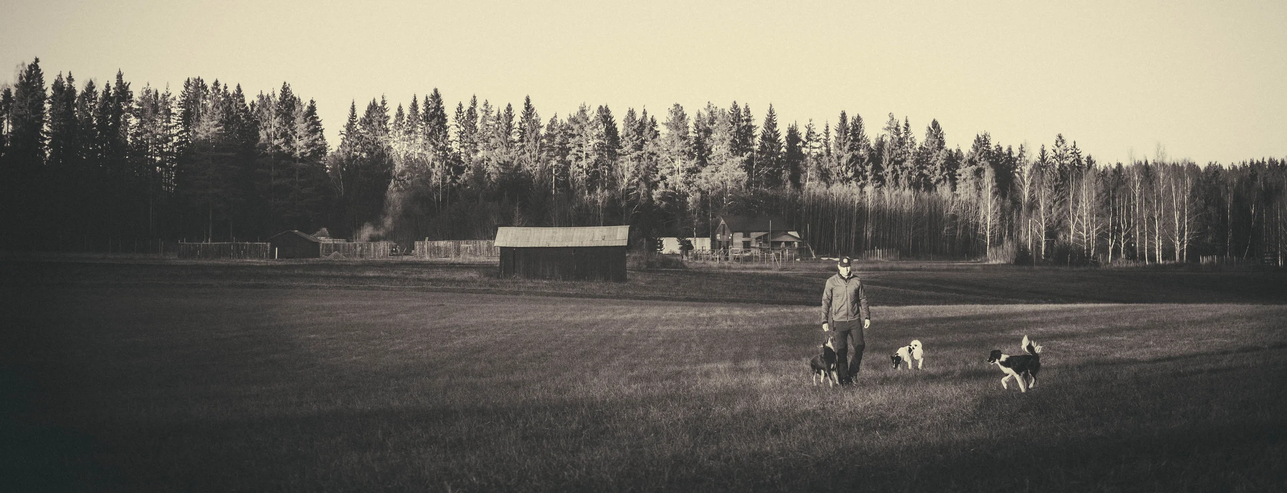 FOTO: Mattias Färnstrand, KUXAGRUPPEN AB