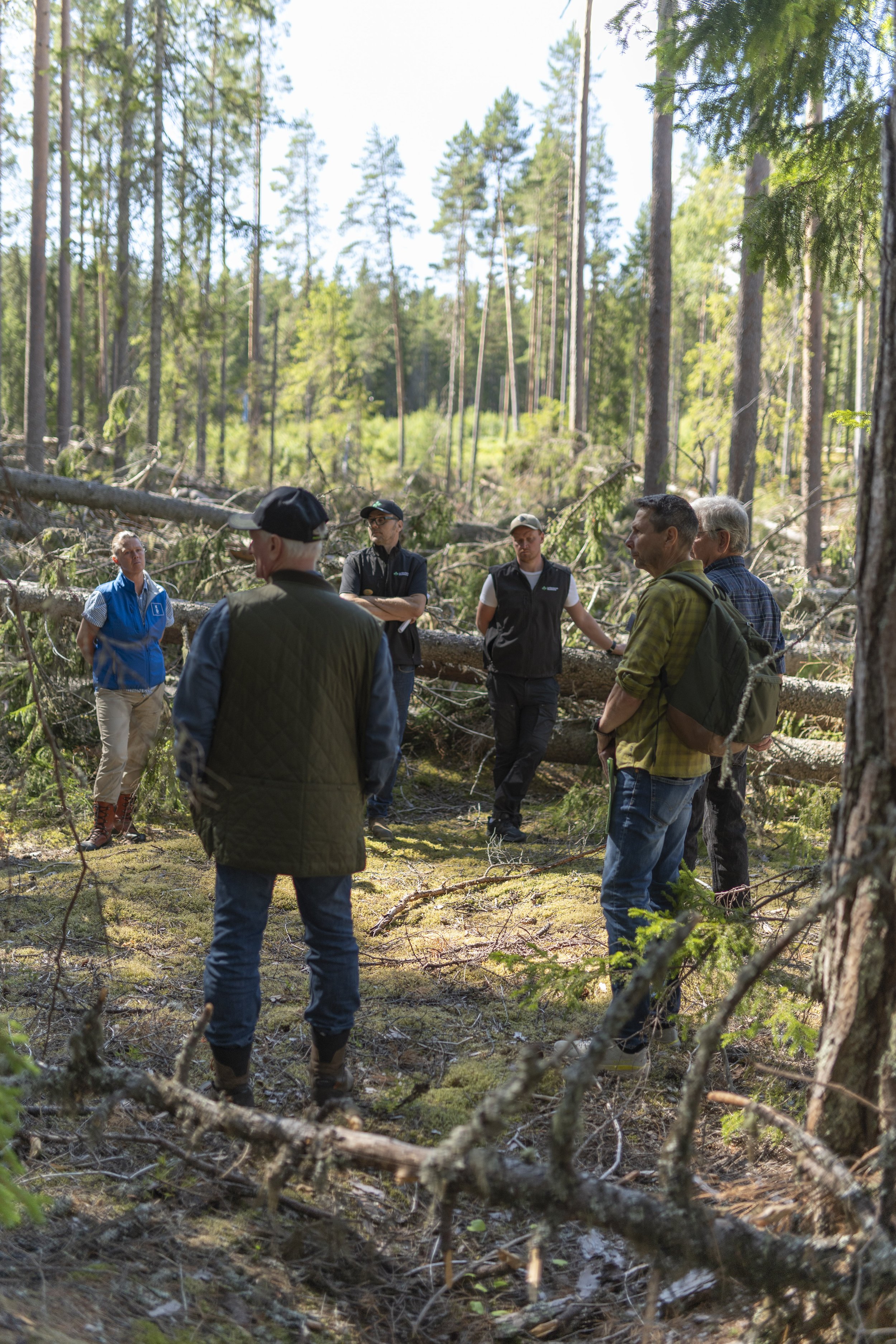 Naturreservat kan skadas av insekter – LRF, skogsägare och politiker i Rönnåsen