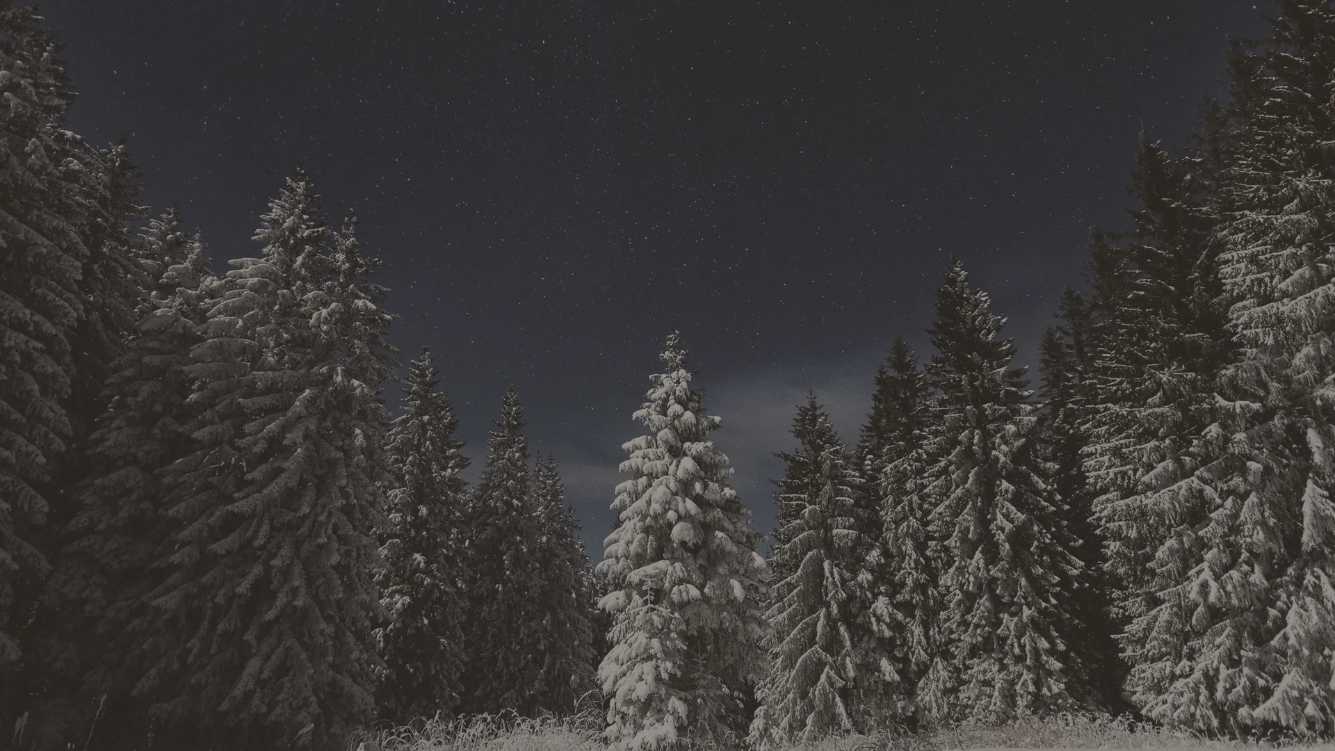Advent_web-bannerBackground.jpg