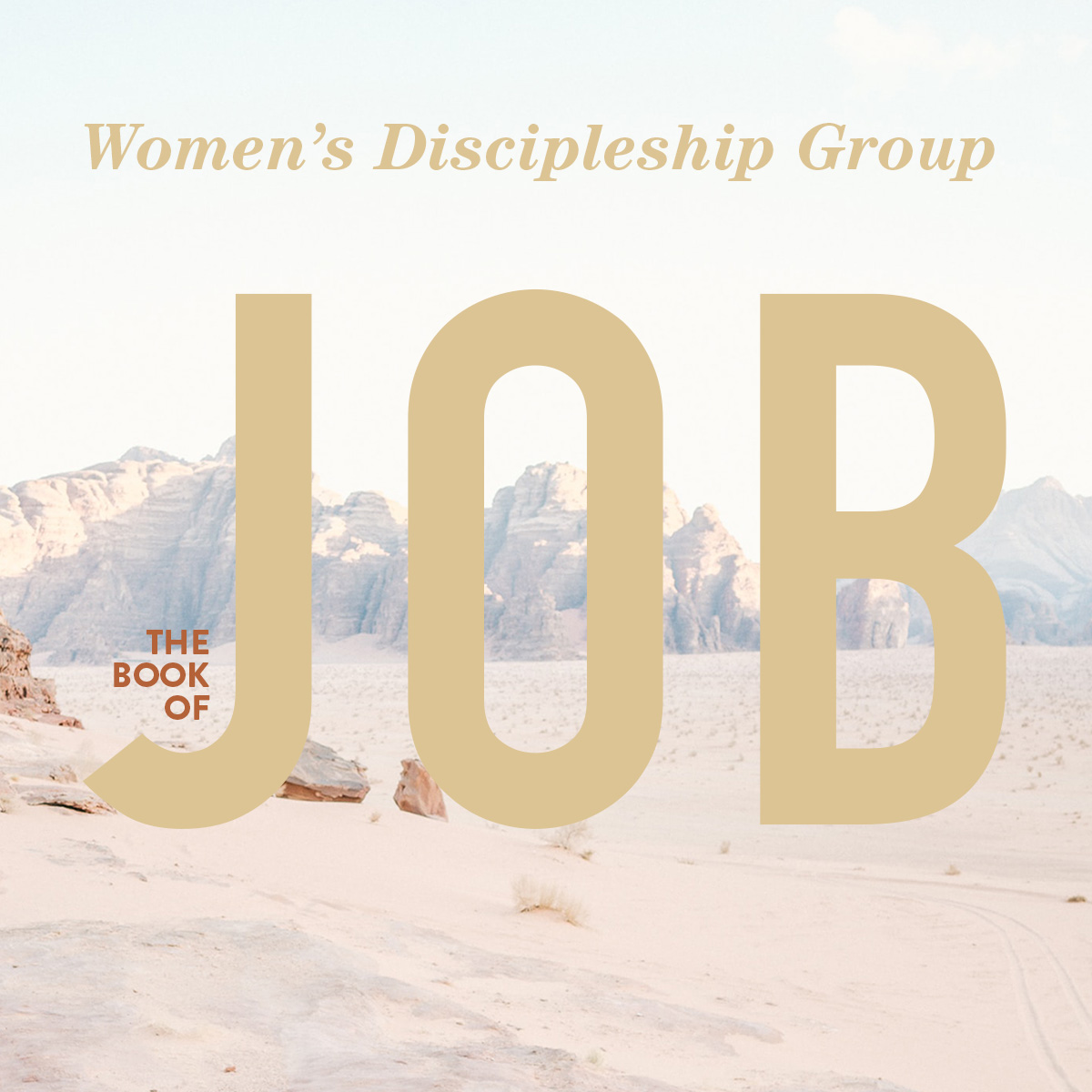 Women's Discipleship Group: The Book of Job