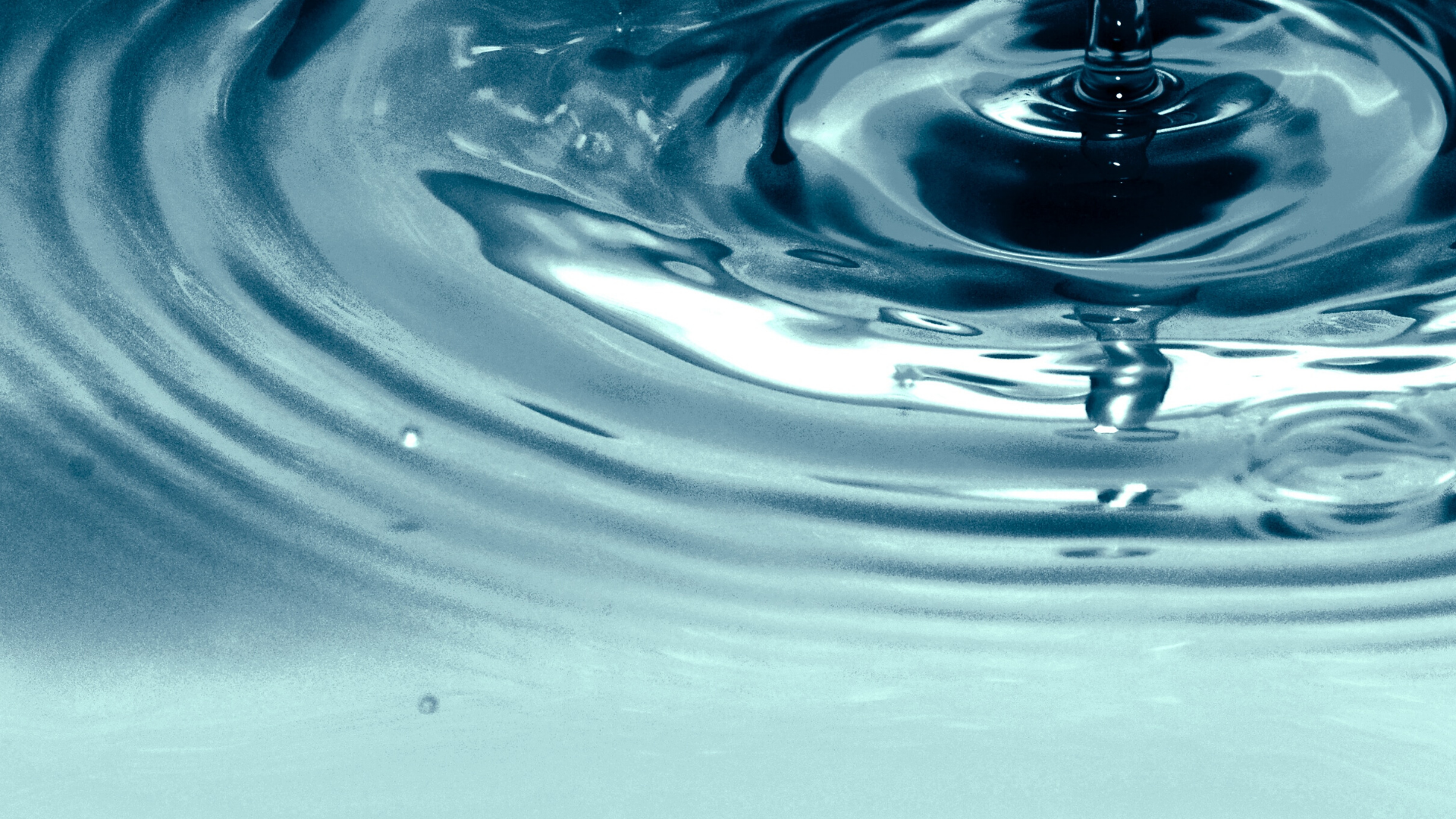 Night of Prayer &amp; Baptisms