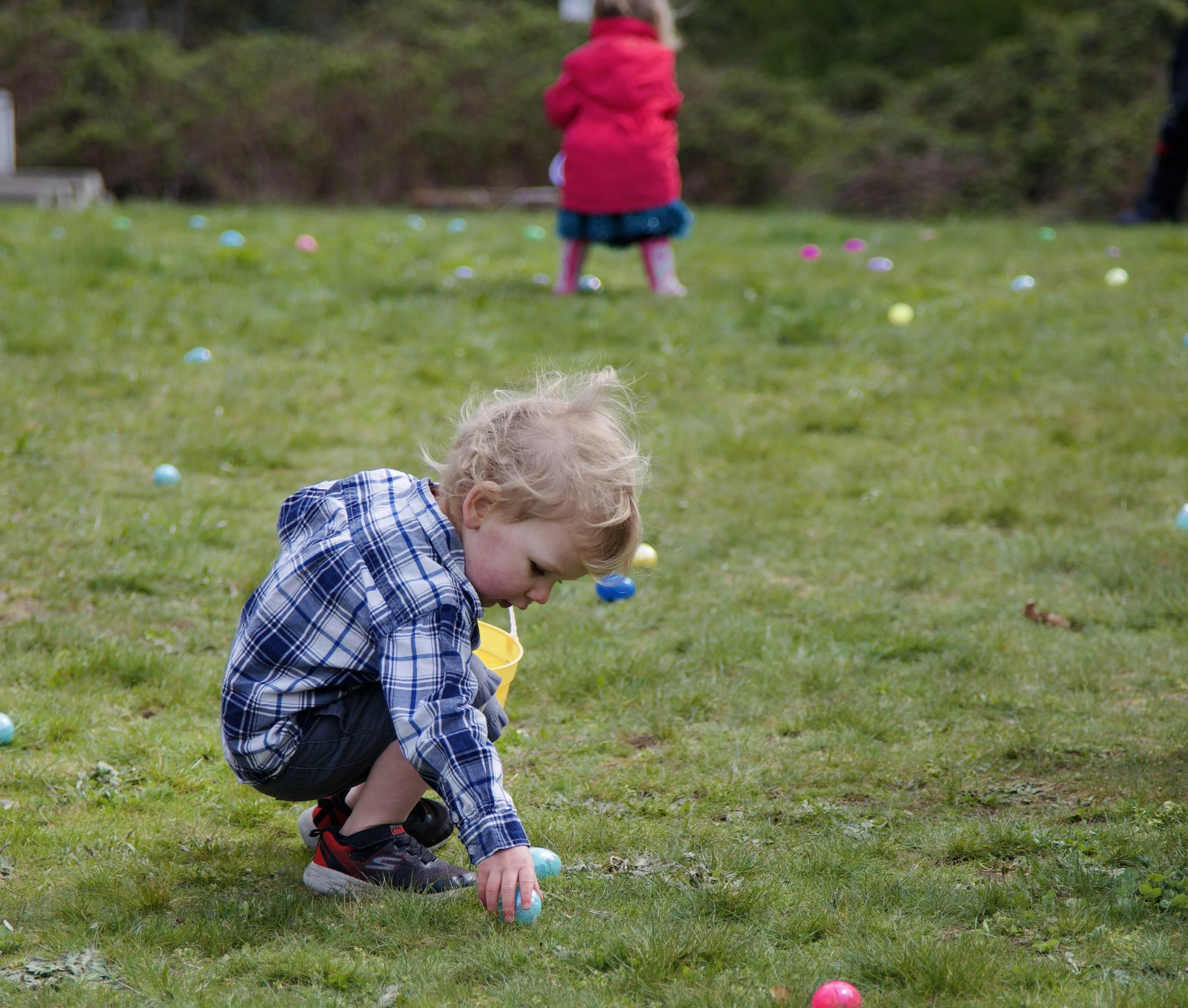 Community Egg Hunt