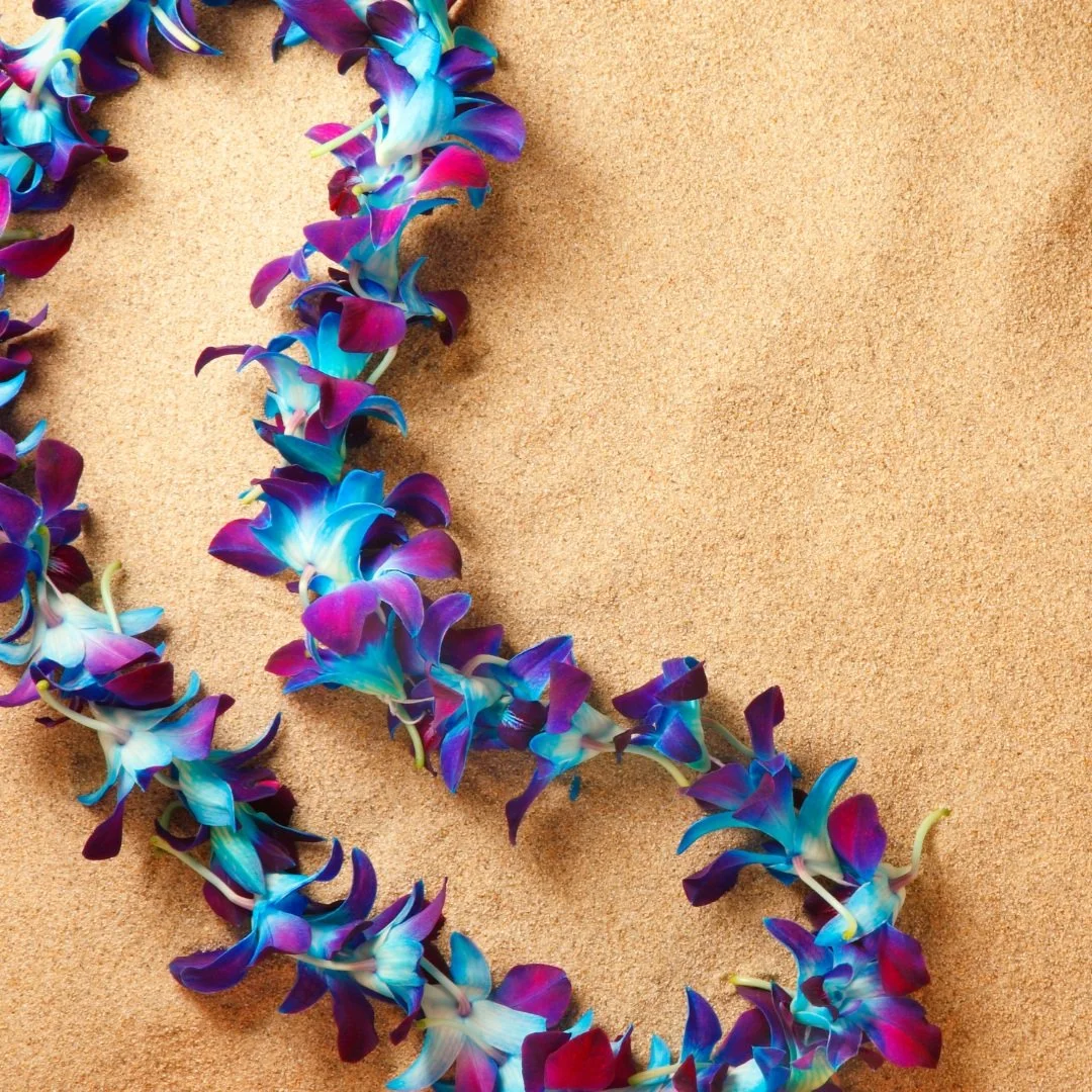 Serve Team Appreciation Party 