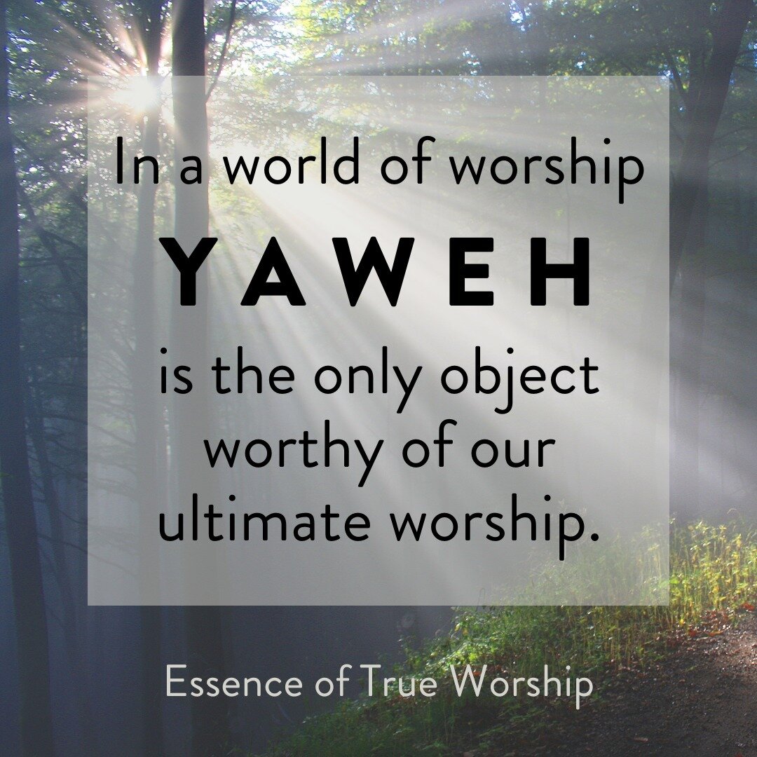 Worship...the lifelong journey of learning to value the one true God more than any other god. Check out last Sunday's sermon at scbc.do/sermons

#worship #soundcitybiblechurch