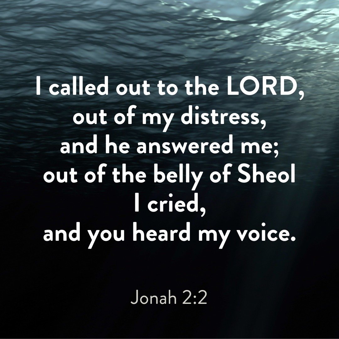 Check out the Jonah sermon series at scbc.do/sermons 

#jonah #soundcitybiblechurch #wordofgod