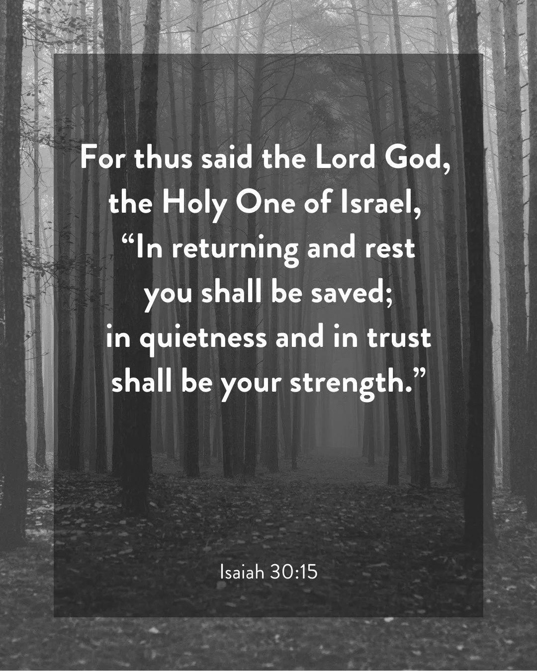 Though God offers renewal, we often resist it. We fill our lives with activity, distraction, and noise, believing that constant motion will sustain us. We trust in our own productivity more than we do his presence, urgency more than obedience, and no