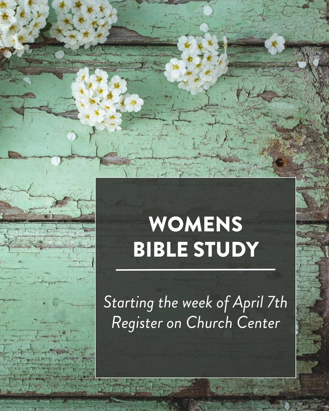 The Sound City Womens Ministry is starting a Bible study on 1 &amp; 2 Timothy the week after Easter. There are multiple groups options available to choose from, and we hope you'll take advantage of this opportunity to gather together and dig into God