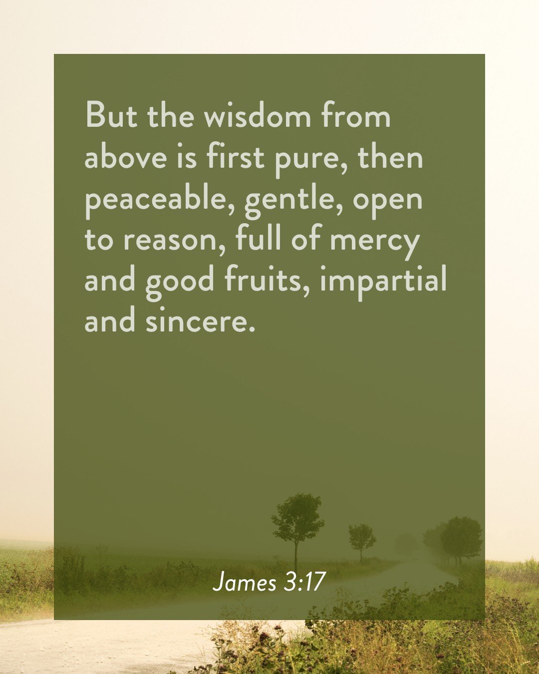 "But the wisdom from above is first pure, then peaceable, gentle, open to reason, full of mercy and good fruits, impartial and sincere." ~James 3:17

#soundcitybiblechurch #groundedinscripture
