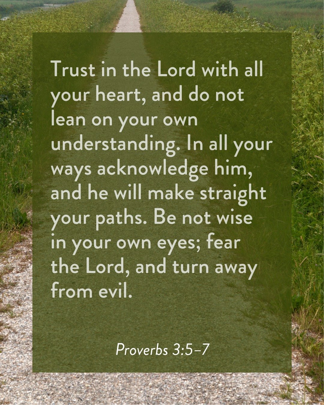 Our natural tendency is to lean on our own understanding. We trust our ability to interpret life, define truth, and determine what is right. We may not say it out loud, but we live as if we are the final authority on reality. Where have you been trus