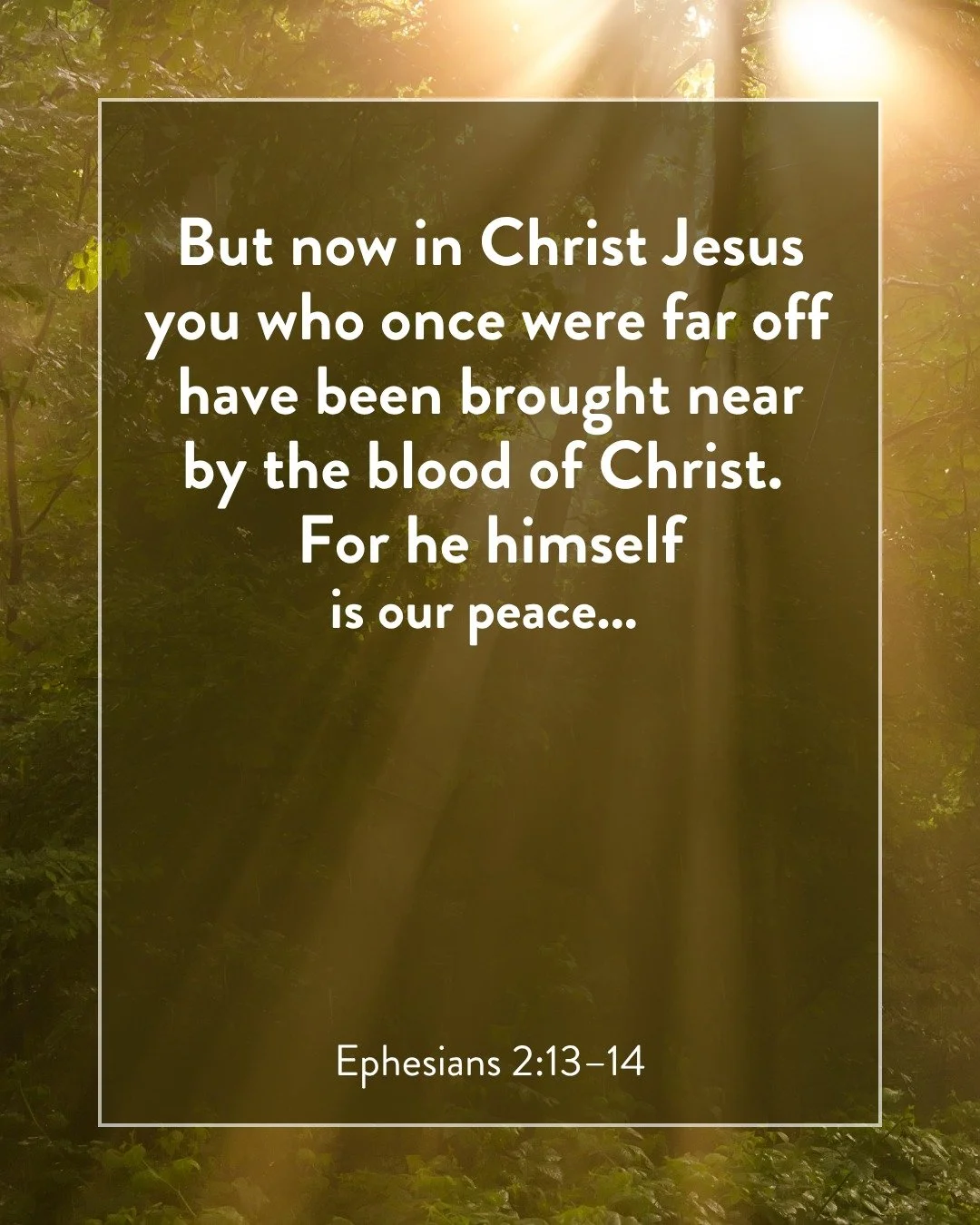 The gospel does more than reconcile us to God; it creates a new family. Through his blood, Jesus has brought us near to God and near to one another. We are no longer strangers but members of the household of God. Because Jesus has loved us at tremend
