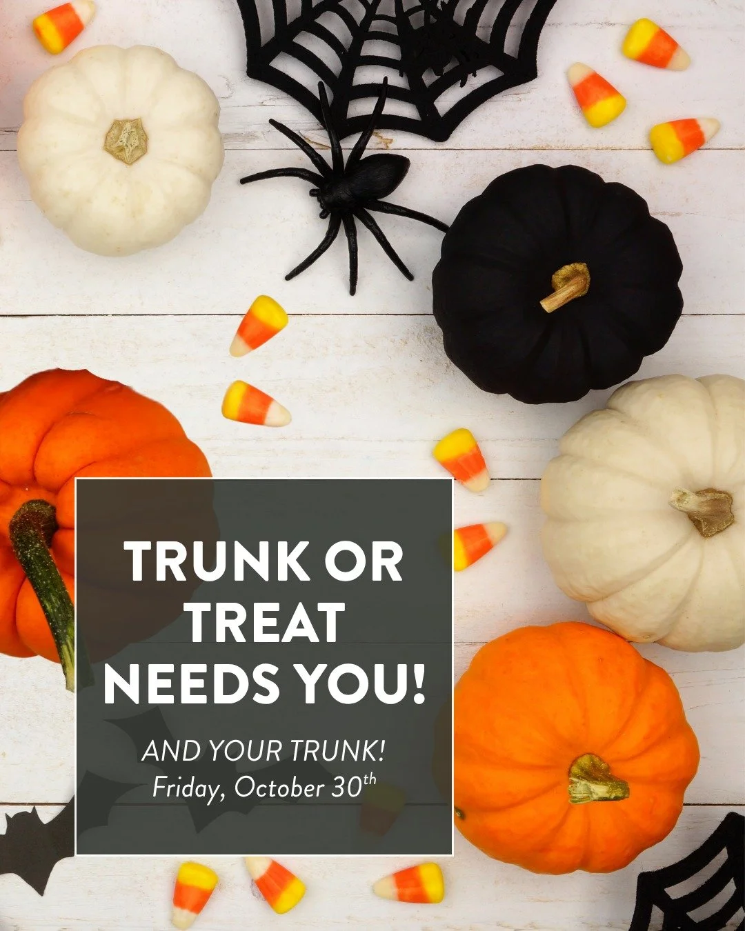 Trunk or Treat is one of the most exciting and festive events of the year! This neighborhood event takes lots of helping hands to be a success. Can you bring your car to decorate and hand out candy, or volunteer with check-ins, or donate candy? 

Reg