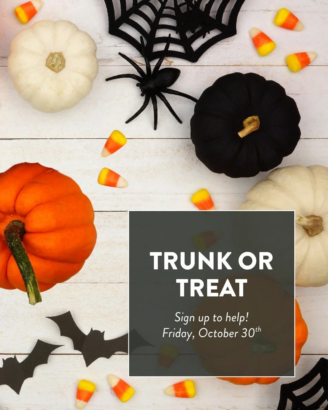 Trunk or Treat is just a few weeks away. This event is free and open to the community, friends and neighbors. If you're already part of Sound City, we're looking for volunteers to host trunks, welcome guests and help with cleanup. You can also drop o