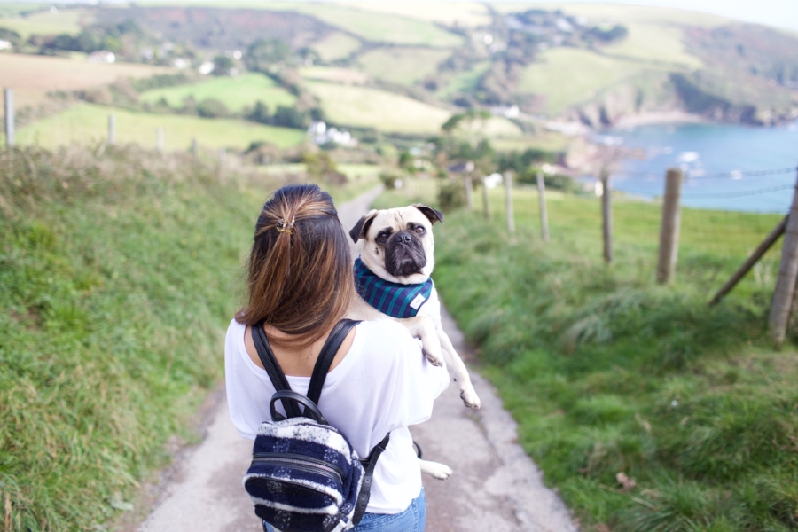 honeyidressedthepug-travelwithdogs-pug-pugswag-dogfriendly-dogblog-petfashion-petblog-bestdogblog-london-uk-cornwall-polperro-fashionandlifestyleblogger-petblogger-fashionbloggerlondon-travelinstyle-dog-coolpups-petinfluencer-fishingvillage-travellingpug-dogsthattravel-traveller-livetoexplore-adventurewithdogs-bestdressedpug-londonblogger