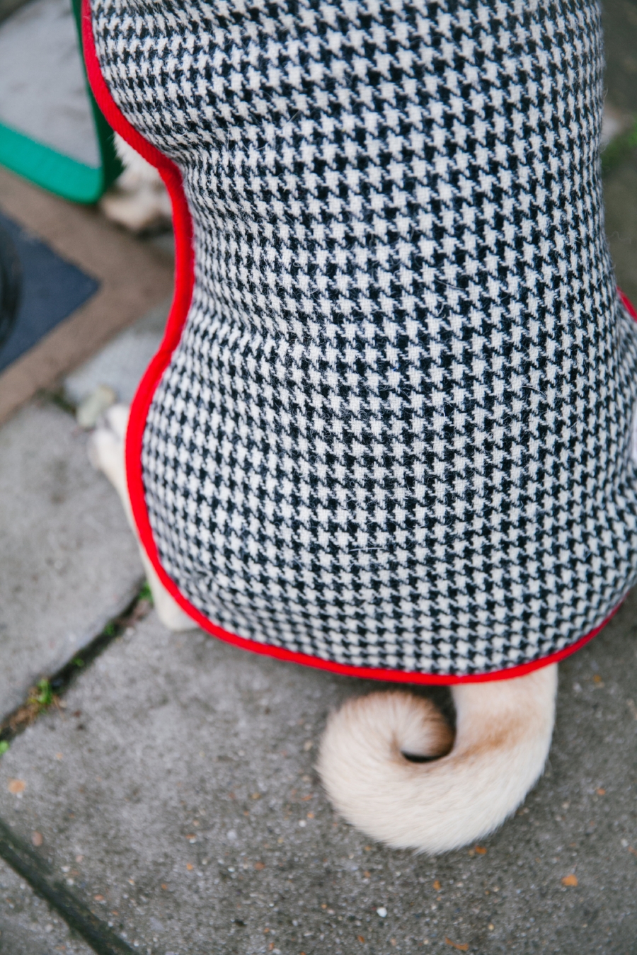 Dogfriendlycoffeeshopslondon-PeggyPorschen-humanandhound-dogfashionblog-petfashionblog-london-uk-fashionandlifestyleblog-londoncoffeeshops-bestdogbloglondon-pugswag-puglife-pug-londonpug-twinning-tweed-falltrend-pumpkin-fallfashion-Pink-winterstyle