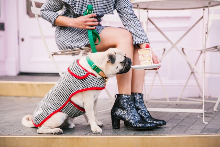 Dogfriendlycoffeeshopslondon-PeggyPorschen-humanandhound-dogfashionblog-petfashionblog-london-uk-fashionandlifestyleblog-londoncoffeeshops-bestdogbloglondon-pugswag-puglife-pug-londonpug-twinning-tweed-falltrend-pumpkin-fallfashion-Pink-winterstyle