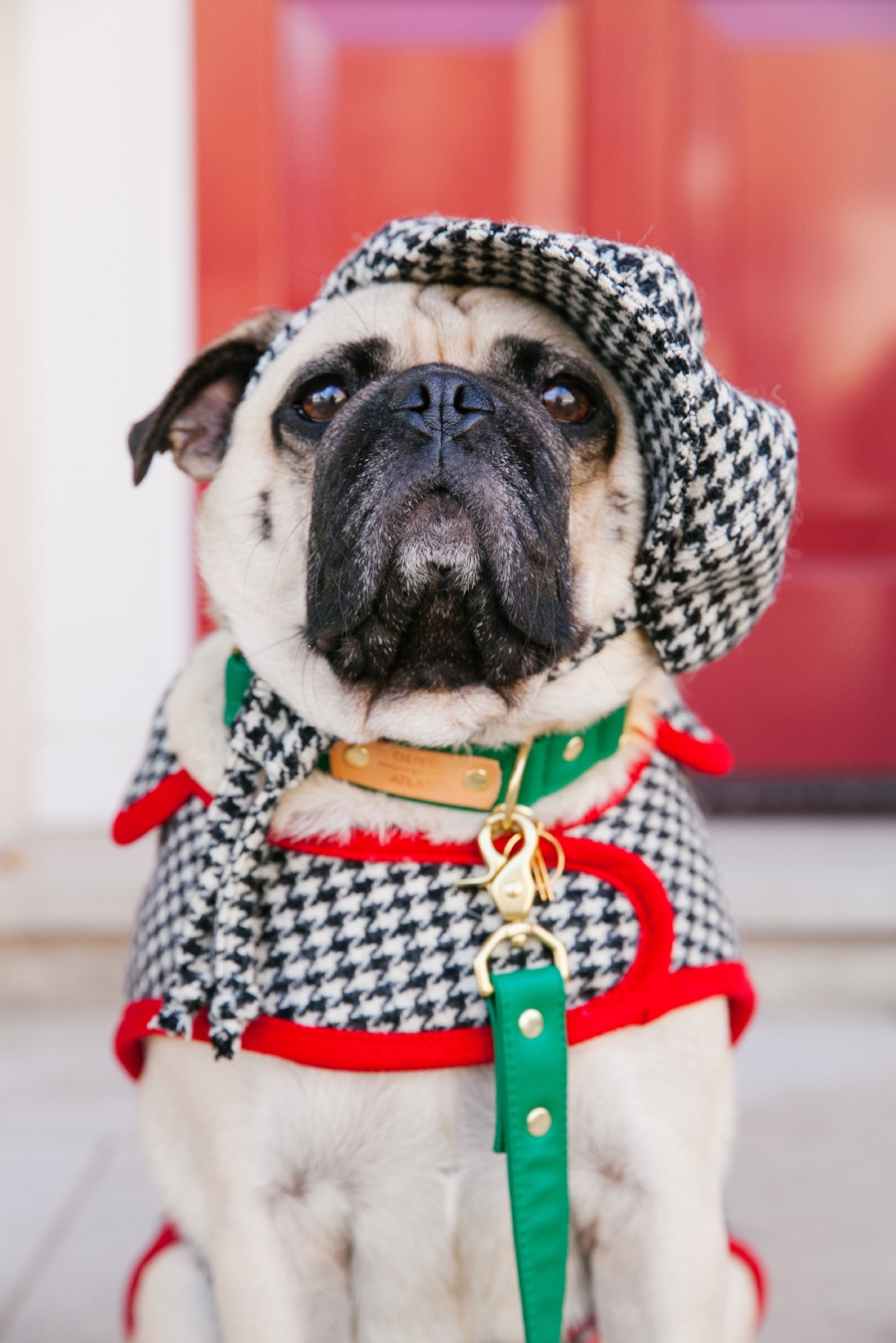 Dogfriendlycoffeeshopslondon-PeggyPorschen-humanandhound-dogfashionblog-petfashionblog-london-uk-fashionandlifestyleblog-londoncoffeeshops-bestdogbloglondon-pugswag-puglife-pug-londonpug-twinning-tweed-falltrend-pumpkin-fallfashion-Pink-winterstyle
