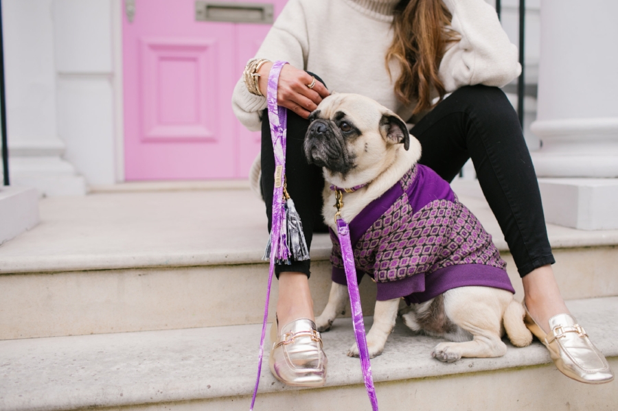 dogblog-bestdogblog-london-uk-dogfashionblog-dogsinclothes-pug-puglife-dapperdogs-dogfriendly-fashionandlifestyle-londonblogger-metallicloafers-tassellead-newyork-falltrends-humanandhound-style-twinning-nottinghill-best-streetstyle-pugswag-fashioninspiration-bestdogblog-bestdressedpug-top-awesome