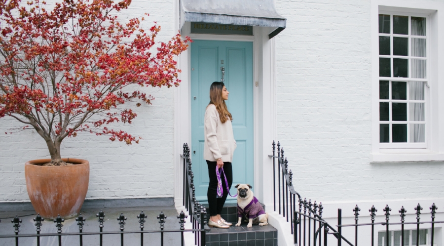 dogblog-bestdogblog-london-uk-dogfashionblog-dogsinclothes-pug-puglife-dapperdogs-dogfriendly-fashionandlifestyle-londonblogger-metallicloafers-tassellead-newyork-falltrends-humanandhound-style-twinning-nottinghill-best-streetstyle-pugswag-fashioninspiration-bestdogblog-bestdressedpug-top-awesome