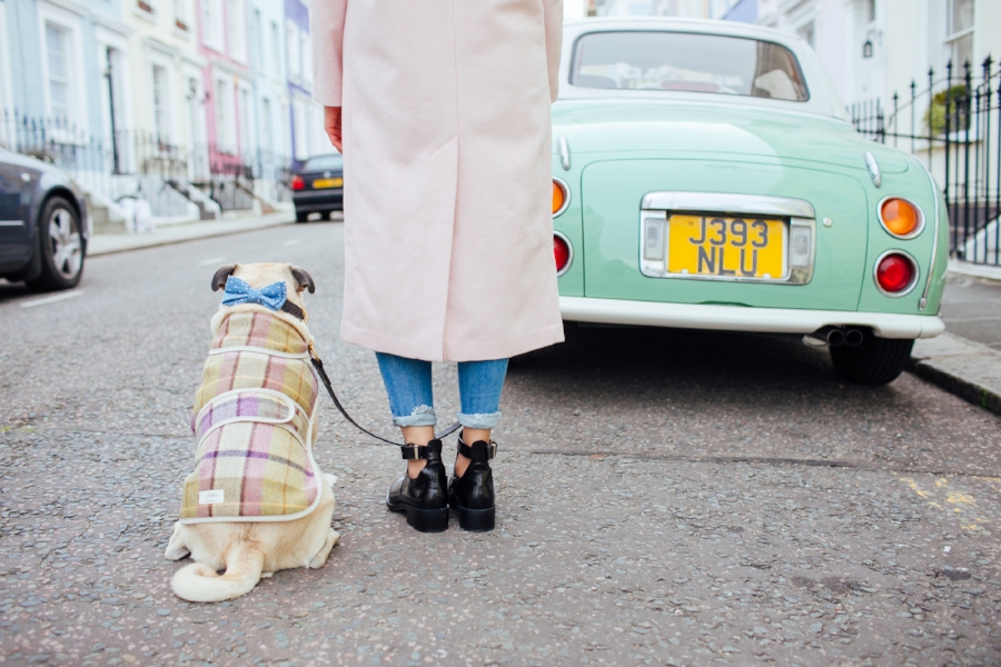 dogblog-london-bestdogbloginlondon-dogfashion-dogfashionblog-fashionandlifestyle-streetstyle-pugswag-humanandhound-pink-fallfashion-falltrends-dogsinclothes-dapperdogs-pug-puglife-bestdressedpug-fashionblogger-newyork-uk-pinkwintercoat-puglife-twinning-bestdressedpug-awesome-best-bestdogbloglondon-dogfashionlondon-coolestdogblog-cooldogs-vintagecar-mint -topdogbloglondon-bestdogblog