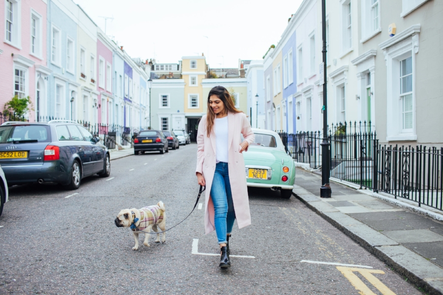 dogblog-london-bestdogbloginlondon-dogfashion-dogfashionblog-fashionandlifestyle-streetstyle-pugswag-humanandhound-pink-fallfashion-falltrends-dogsinclothes-dapperdogs-pug-puglife-bestdressedpug-fashionblogger-newyork-uk-pinkwintercoat-puglife-twinning-bestdressedpug-awesome-best-bestdogbloglondon-dogfashionlondon-coolestdogblog-cooldogs-topdogbloglondon-bestdogblog