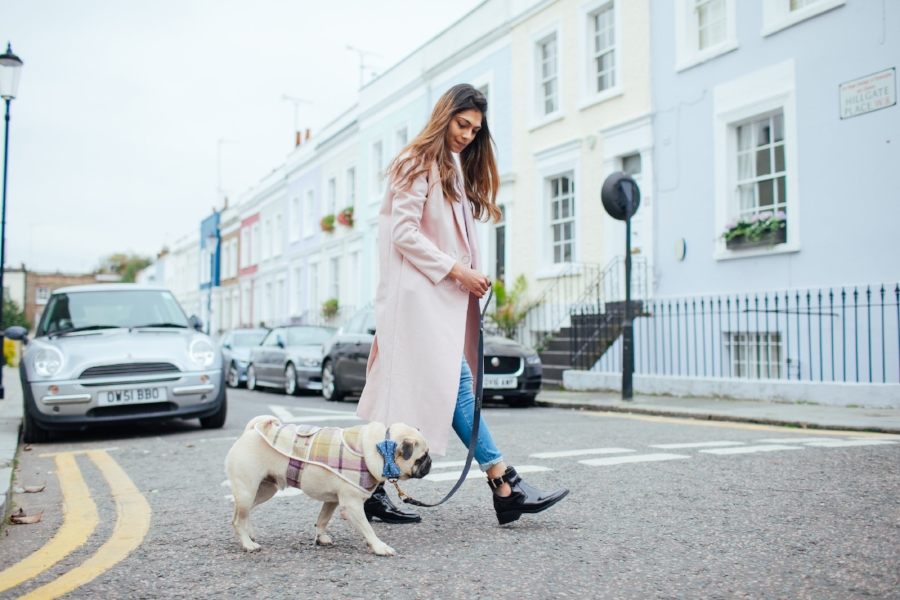 dogblog-london-bestdogbloginlondon-dogfashion-dogfashionblog-fashionandlifestyle-streetstyle-pugswag-humanandhound-pink-fallfashion-falltrends-dogsinclothes-dapperdogs-pug-puglife-bestdressedpug-fashionblogger-newyork-uk-pinkwintercoat-puglife-twinning-bestdressedpug-awesome-best-bestdogbloglondon-dogfashionlondon-coolestdogblog-cooldogs-vintagecar-mint -topdogbloglondon-bestdogblog