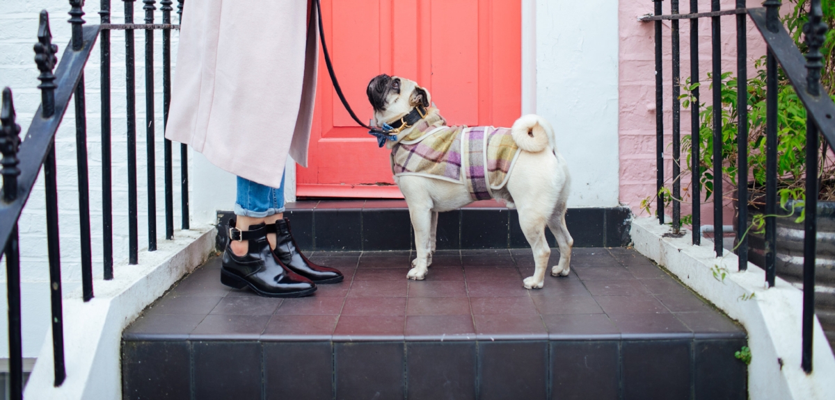 dogblog-london-bestdogbloginlondon-dogfashion-dogfashionblog-fashionandlifestyle-streetstyle-pugswag-humanandhound-pink-fallfashion-falltrends-dogsinclothes-dapperdogs-pug-puglife-bestdressedpug-fashionblogger-newyork-uk-pinkwintercoat-puglife-twinning-bestdressedpug-awesome-best-bestdogbloglondon-dogfashionlondon-coolestdogblog-cooldogs-vintagecar-mint -topdogbloglondon-bestdogblog