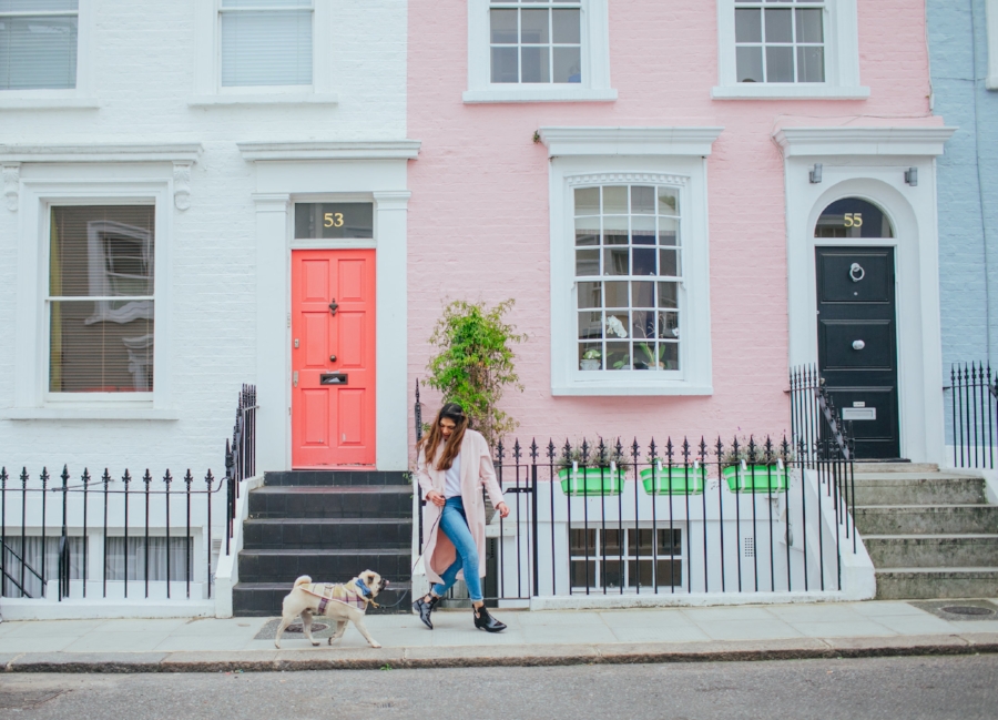 dogblog-london-bestdogbloginlondon-dogfashion-dogfashionblog-fashionandlifestyle-streetstyle-pugswag-humanandhound-pink-fallfashion-falltrends-dogsinclothes-dapperdogs-pug-puglife-bestdressedpug-fashionblogger-newyork-uk-pinkwintercoat-puglife-twinning-bestdressedpug-awesome-best-bestdogbloglondon-dogfashionlondon-coolestdogblog-cooldogs-vintagecar-mint -topdogbloglondon-bestdogblog