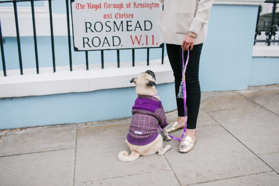  dogblog-bestdogblog-london-uk-dogfashionblog-dogsinclothes-pug-puglife-dapperdogs-dogfriendly-fashionandlifestyle-londonblogger-metallicloafers-tassellead-newyork-falltrends-humanandhound-style-twinning-nottinghill-best-streetstyle-pugswag-fashioninspiration-bestdogblog-bestdressedpug-top-awesome