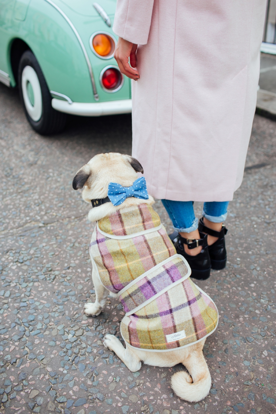 dogblog-london-bestdogbloginlondon-dogfashion-dogfashionblog-fashionandlifestyle-streetstyle-pugswag-humanandhound-pink-fallfashion-falltrends-dogsinclothes-dapperdogs-pug-puglife-bestdressedpug-fashionblogger-newyork-uk-pinkwintercoat-puglife-twinning-bestdressedpug-awesome-best-bestdogbloglondon-dogfashionlondon-coolestdogblog-cooldogs-vintagecar-mint -topdogbloglondon-bestdogblog