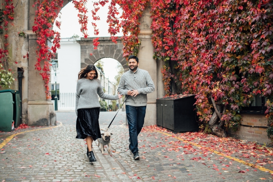 topdogblog-bestdogblog-dogblog-besttopdogbloglondon-topdogbloglondon-humanandhoundstyle-fashion-petfashion-dogfashion-coolpups-dogsinclothes-dogfashionblog-petfashionblog-ari&m-fall-fallleaves-autumn-fallwinterstyle-falltrends-family-thanksgiving-lovemyfam-familyshoot-portraitshoot-meandmypug-velvetskirt-pleatedskirt-falllooks-dapperdogs-dogsinbowtie-pugswag-pug-puglife-red-fallwinter2016