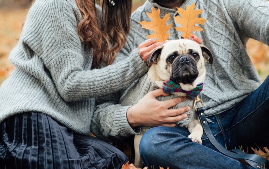 topdogblog-bestdogblog-dogblog-besttopdogbloglondon-topdogbloglondon-humanandhoundstyle-fashion-petfashion-dogfashion-coolpups-dogsinclothes-dogfashionblog-petfashionblog-ari&m-fall-fallleaves-autumn-fallwinterstyle-falltrends-family-thanksgiving-lovemyfam-familyshoot-portraitshoot-meandmypug-velvetskirt-pleatedskirt-falllooks-dapperdogs-dogsinbowtie-pugswag-pug-puglife-red-fallwinter2016
