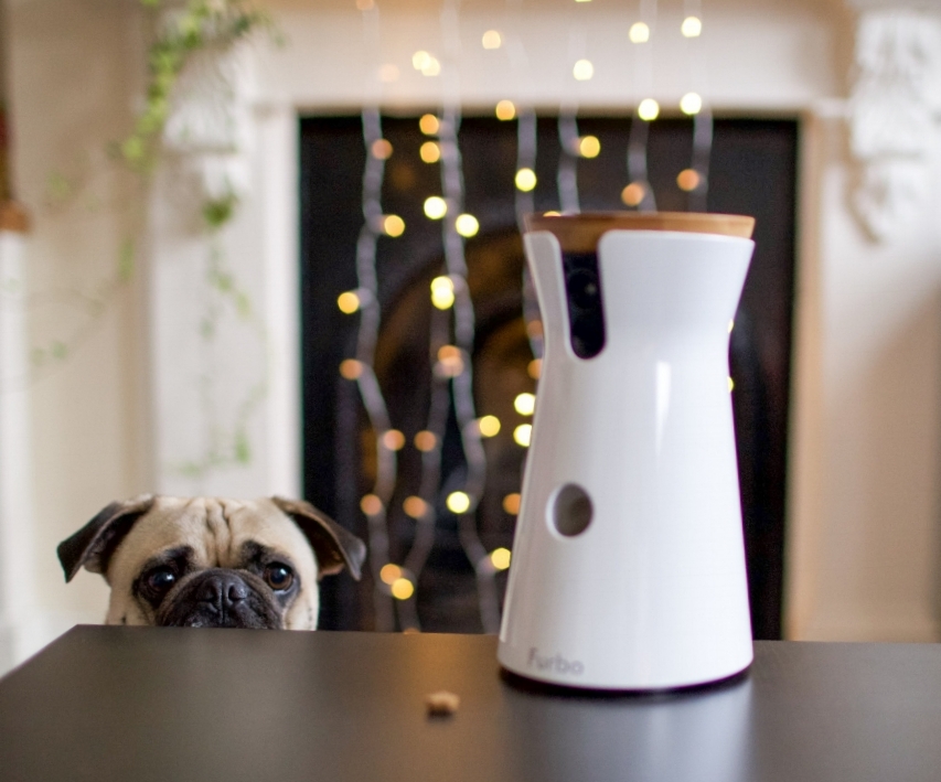 furbo-doggycamera-petcamera-treattossingdoggycamera-petlifestyle-petfashionblog-dogblog-topdogblog-bestdogblog-london-humanandhound-christmasgift-dogfashionblog-bestdogbloglondon-moderndogproducts-dogloversblog-coolgift-pettechnology-petblogger