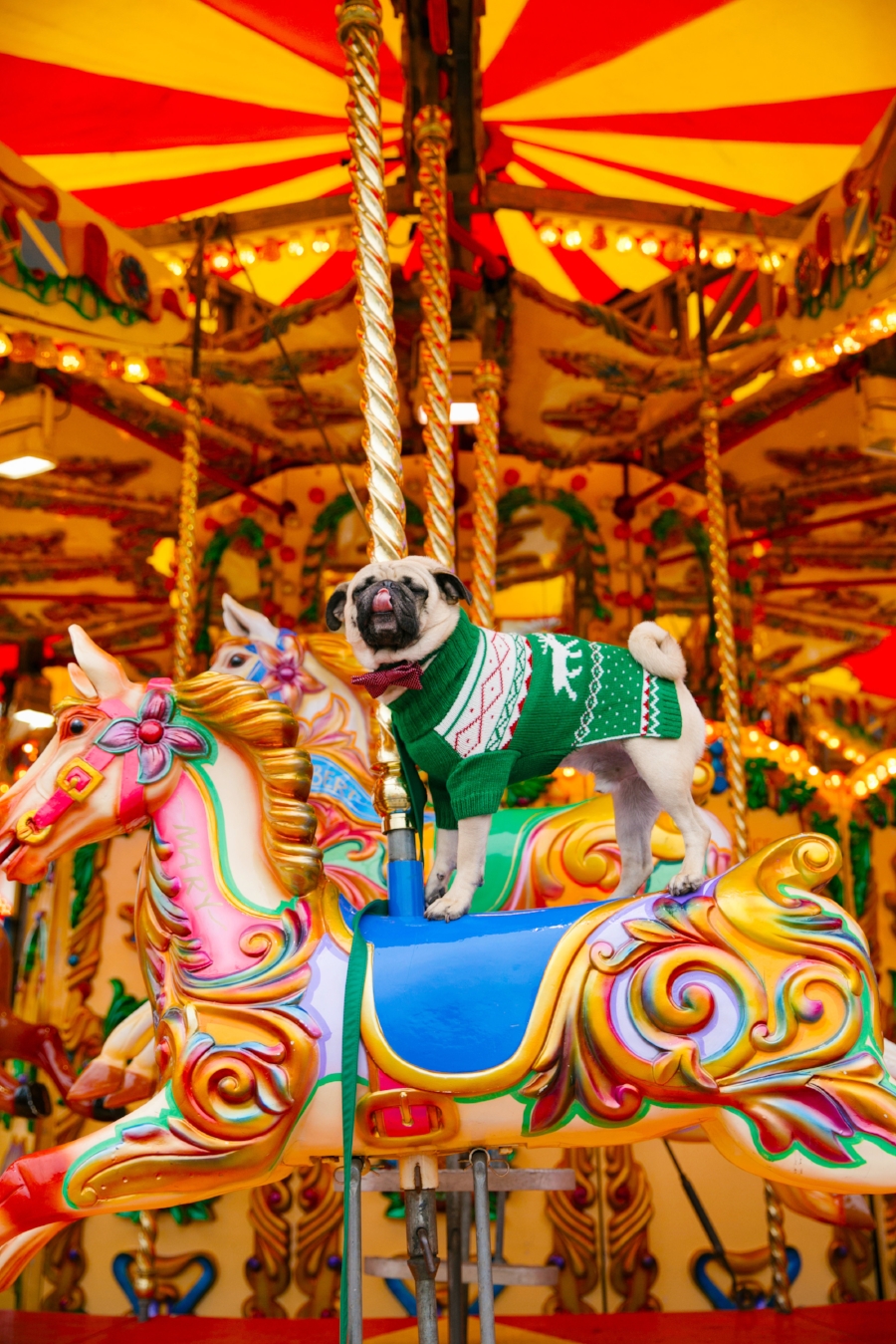 dogblog-bestdogblog-topdogblog-dohfashionblog-petblog-petfashionblog-dogbloglondon-humanandhound-cutepug-dogsinclothes-pugwearingclothes-petblogger-christmas-hydepark-winterwonderland-christmas2016-london-carousel-christmasjumpers-festive-newyear - bestdogbloglondon