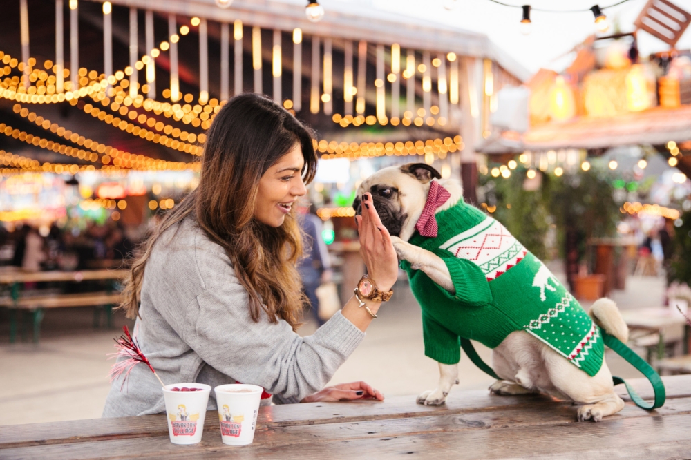 dogblog-bestdogblog-topdogblog-dohfashionblog-petblog-petfashionblog-dogbloglondon-humanandhound-cutepug-dogsinclothes-pugwearingclothes-petblogger-christmas-hydepark-winterwonderland-christmas2016-london-carousel-christmasjumpers-festive-newyear - bestdogbloglondon