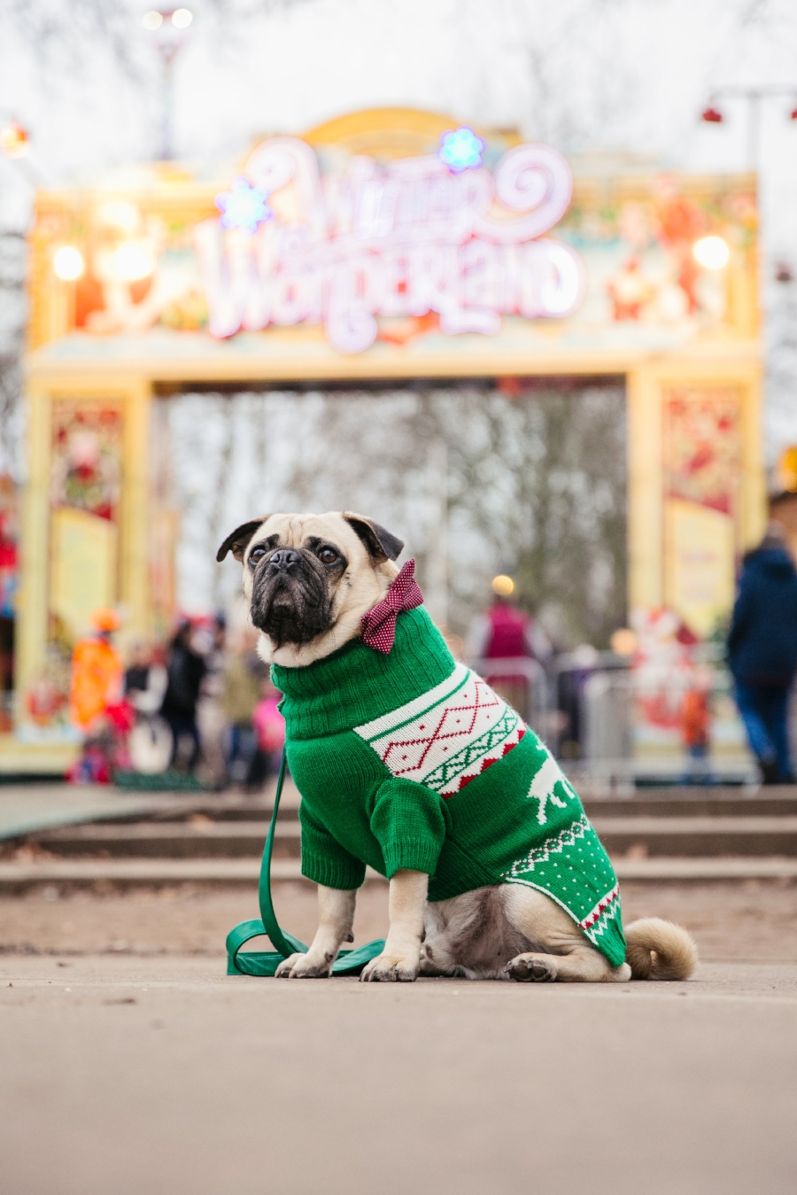 dogblog-bestdogblog-topdogblog-dohfashionblog-petblog-petfashionblog-dogbloglondon-humanandhound-cutepug-dogsinclothes-pugwearingclothes-petblogger-christmas-hydepark-winterwonderland-christmas2016-london-carousel-christmasjumpers-festive-newyear - bestdogbloglondon