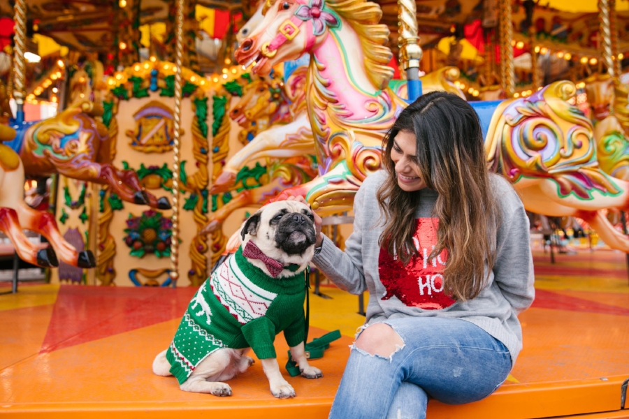 dogblog-bestdogblog-topdogblog-dohfashionblog-petblog-petfashionblog-dogbloglondon-humanandhound-cutepug-dogsinclothes-pugwearingclothes-petblogger-christmas-hydepark-winterwonderland-christmas2016-london-carousel-christmasjumpers-festive-newyear - bestdogbloglondon