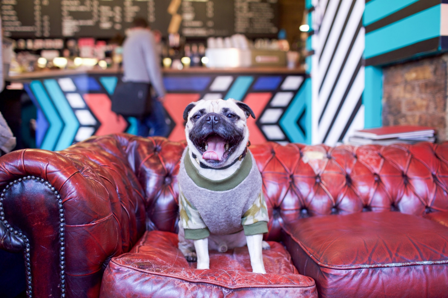 bestdogbloglondon-dogblog-dogfashionblog-bestdogfashionblog-petfashion-pugswag-dogfriendly-coffeeshops-londoncoffeeshops-fixcoffee-lifestyle-cozycoffeeshop-humanandhound-thingstodowithyourdoginlondon-dogfriendlycoffeeshoplondon-petstyleblog