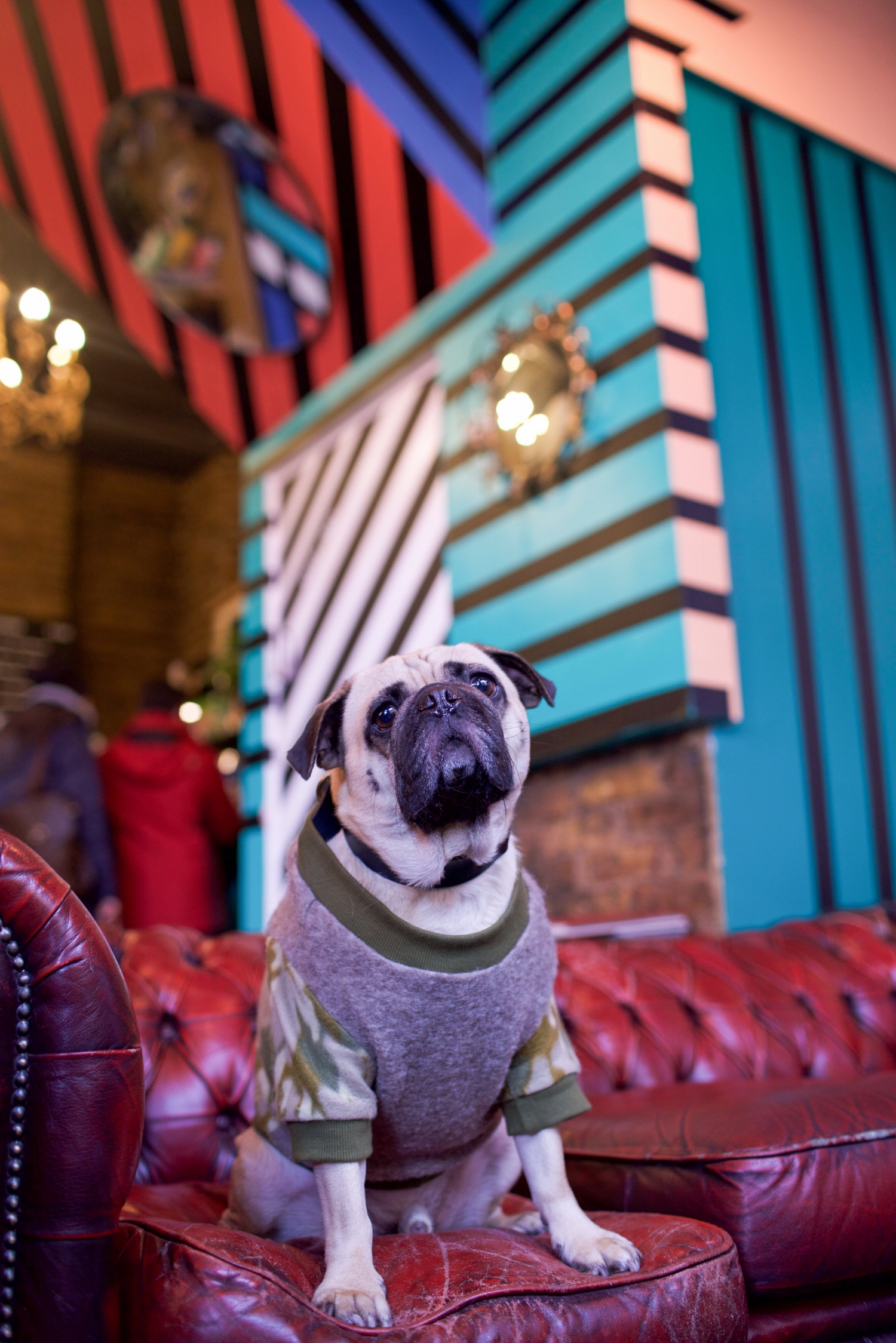 bestdogbloglondon-dogblog-dogfashionblog-bestdogfashionblog-petfashion-pugswag-dogfriendly-coffeeshops-londoncoffeeshops-fixcoffee-lifestyle-cozycoffeeshop-humanandhound-thingstodowithyourdoginlondon-dogfriendlycoffeeshoplondon-petstyleblog