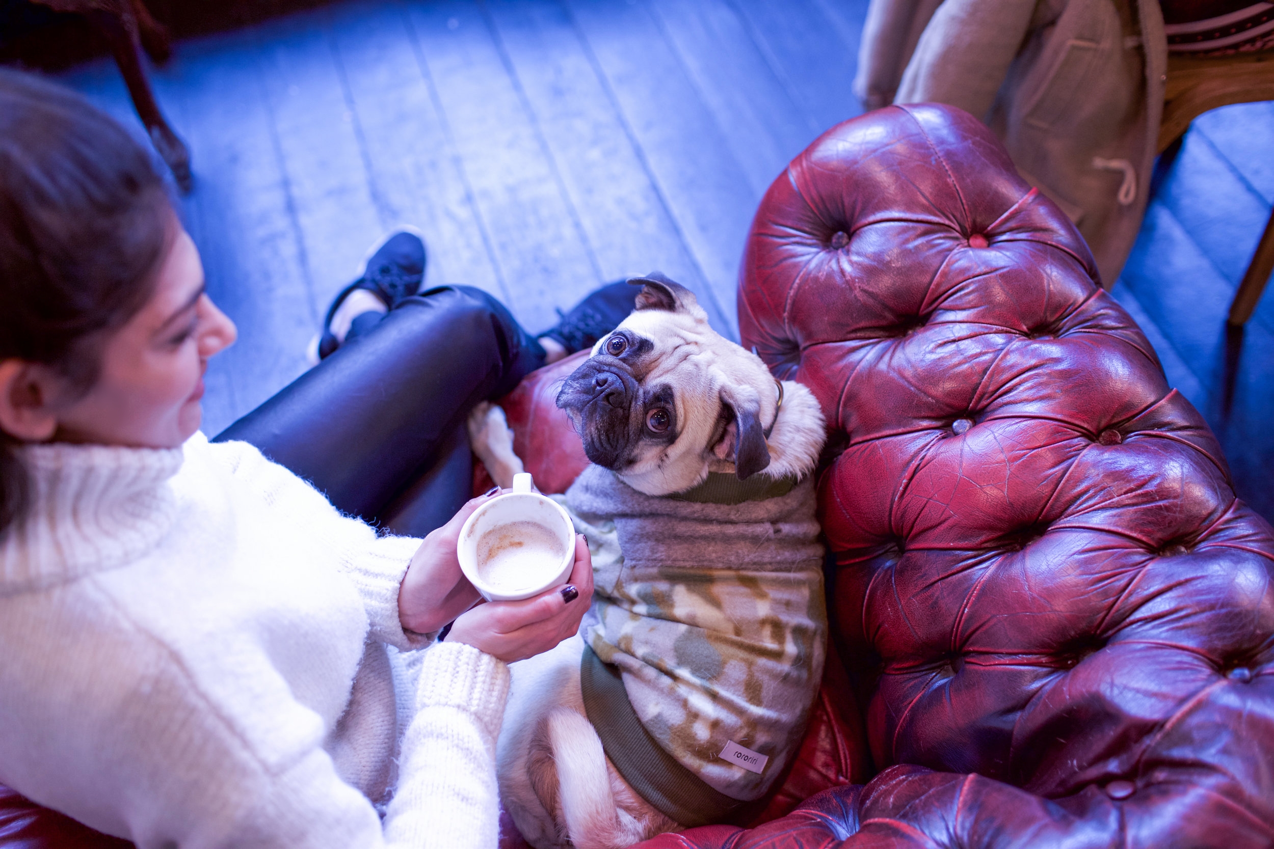 bestdogbloglondon-dogblog-dogfashionblog-bestdogfashionblog-petfashion-pugswag-dogfriendly-coffeeshops-londoncoffeeshops-fixcoffee-lifestyle-cozycoffeeshop-humanandhound-thingstodowithyourdoginlondon-dogfriendlycoffeeshoplondon-petstyleblog
