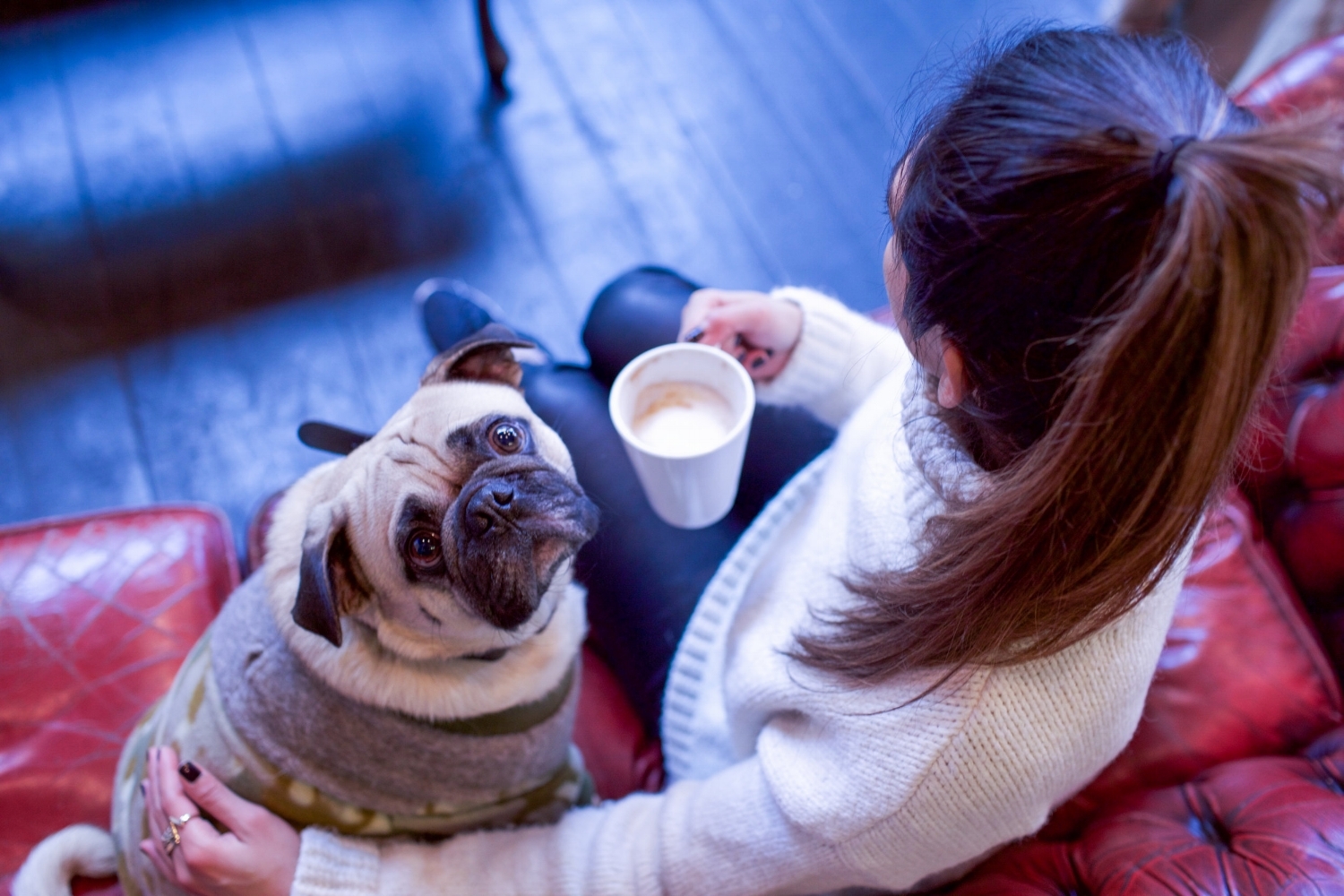 bestdogbloglondon-dogblog-dogfashionblog-bestdogfashionblog-petfashion-pugswag-dogfriendly-coffeeshops-londoncoffeeshops-fixcoffee-lifestyle-cozycoffeeshop-humanandhound-thingstodowithyourdoginlondon-dogfriendlycoffeeshoplondon-petstyleblog