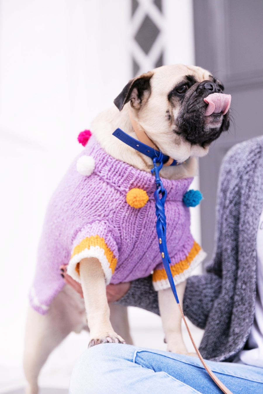 humanandhound-twinning-fashion-london-twinningiswinning-ariandm-spring-dogfashion-stylishdogs-bestdresseddog-pug-pugfashion-dogsinclothes-springjumper-best-dogfashionblog-dogblog-bestdogblog-topdogblog-humanandhoundblog-bestdogbloginlondonstreetstyle-londonstreetstyle-humanandhoundstreetstyle