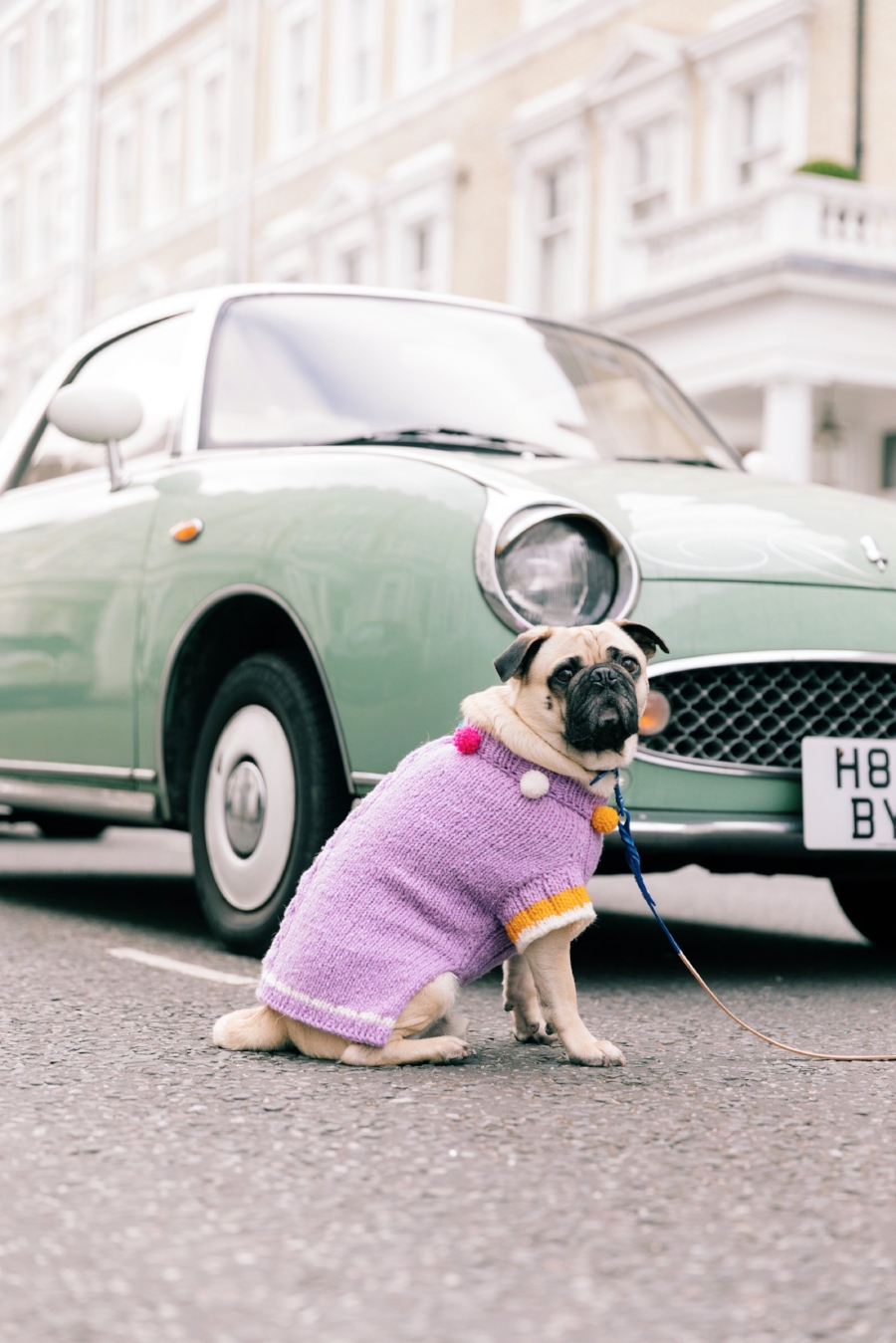 humanandhound-twinning-fashion-london-twinningiswinning-ariandm-spring-dogfashion-stylishdogs-bestdresseddog-pug-pugfashion-dogsinclothes-springjumper-best-dogfashionblog-dogblog-bestdogblog-topdogblog-humanandhoundblog-bestdogbloginlondon-streetstyle-londonstreetstyle-humanandhoundstreetstyle