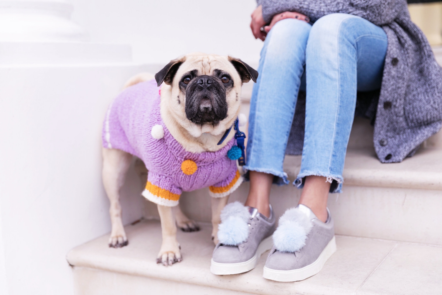 humanandhound-twinning-fashion-london-twinningiswinning-ariandm-spring-dogfashion-stylishdogs-bestdresseddog-pug-pugfashion-dogsinclothes-springjumper-best-dogfashionblog-dogblog-bestdogblog-topdogblog-humanandhoundblog-bestdogbloginlondonstreetstyle-londonstreetstyle-humanandhoundstreetstyle