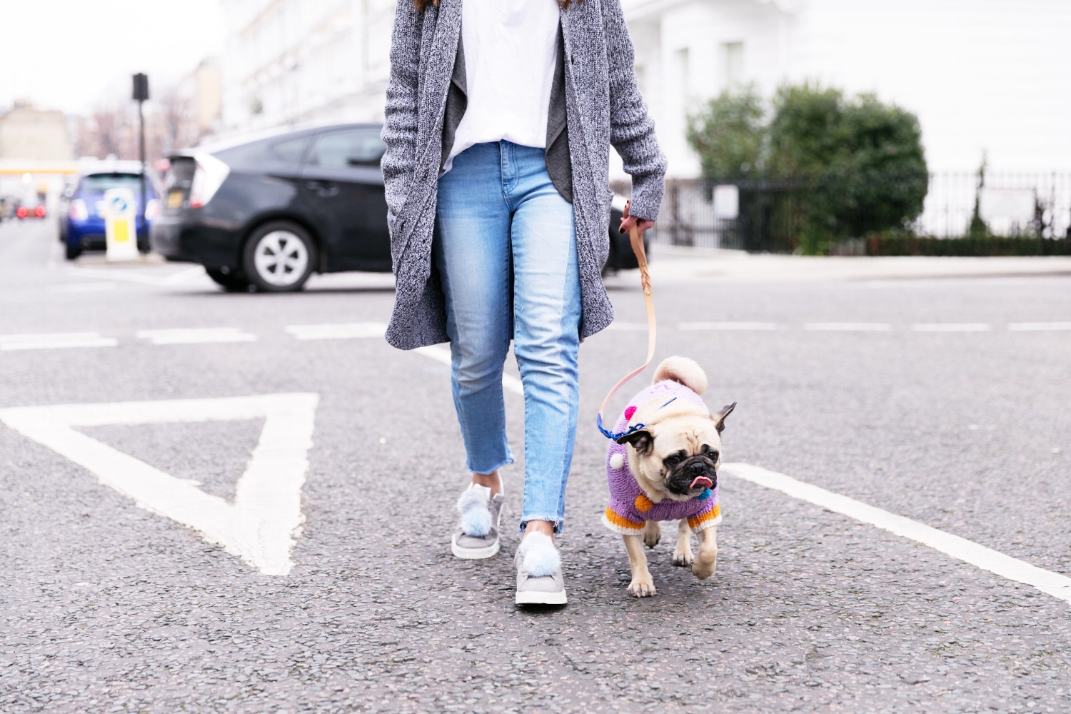 humanandhound-twinning-fashion-london-twinningiswinning-ariandm-spring-dogfashion-stylishdogs-bestdresseddog-pug-pugfashion-dogsinclothes-springjumper-best-dogfashionblog-dogblog-bestdogblog-topdogblog-humanandhoundblog-bestdogbloginlondon-streetstyle-londonstreetstyle-humanandhoundstreetstyle