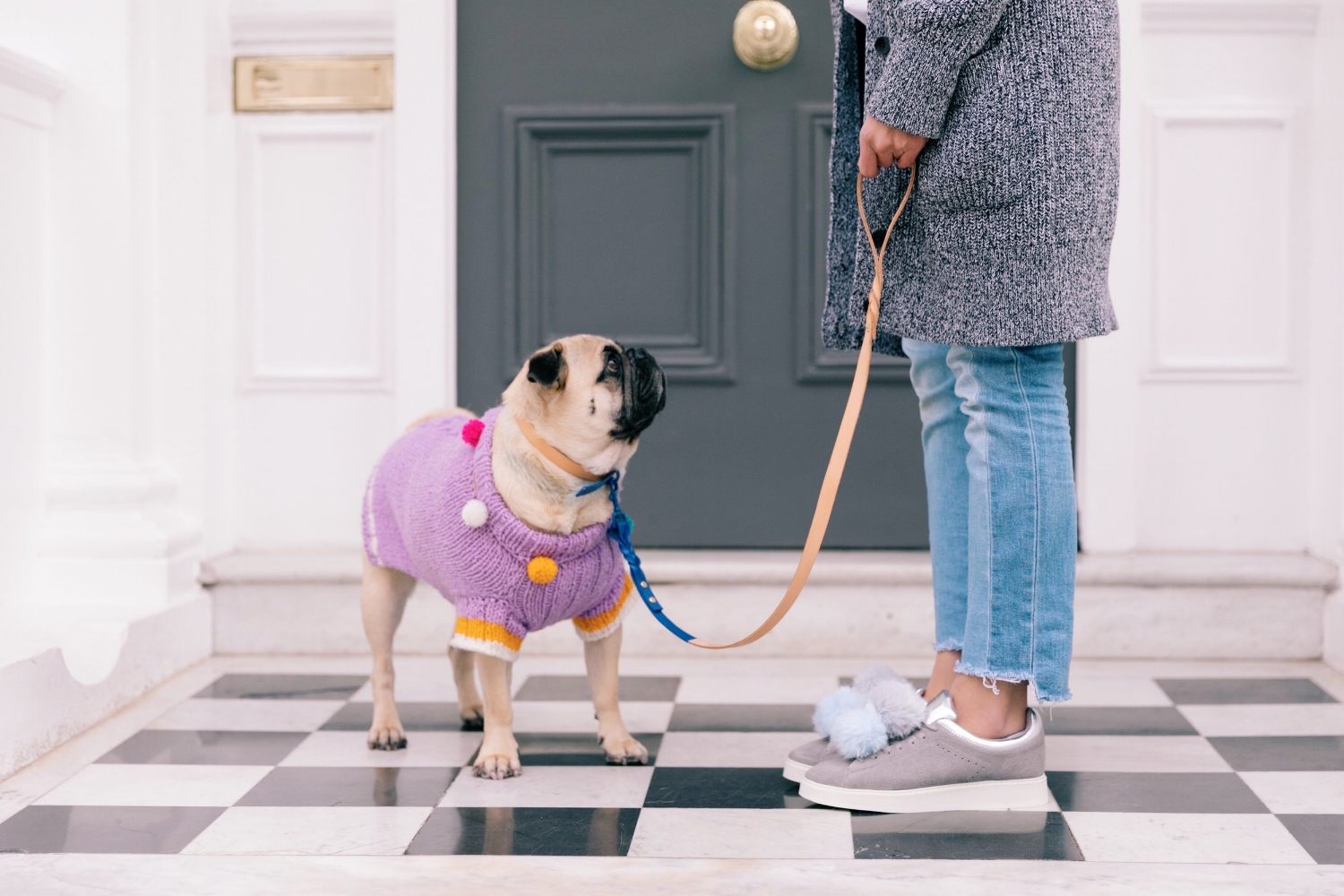 humanandhound-twinning-fashion-london-twinningiswinning-ariandm-spring-dogfashion-stylishdogs-bestdresseddog-pug-pugfashion-dogsinclothes-springjumper-best-dogfashionblog-dogblog-bestdogblog-topdogblog-humanandhoundblog-bestdogbloginlondon-streetstyle-londonstreetstyle-humanandhoundstreetstyle